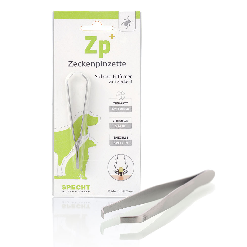 Zp