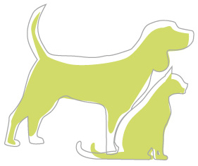 AE_hundkatze